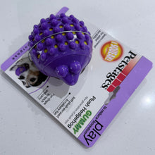 Load image into Gallery viewer, Purple dog toy with textured surface on a white background