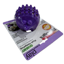 Load image into Gallery viewer, Purple dog toy with spikes on a packaging card with visible branding.