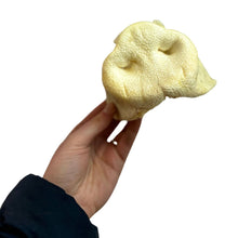 Load image into Gallery viewer, Hand holding a piece of soft, light-Dried white pig snout dog chew against a white background