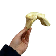 Load image into Gallery viewer, Hand holding a Dried white pig snout dog chew on a white background