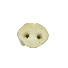 Load image into Gallery viewer, Puffed Pig Snout with a hole on a white background