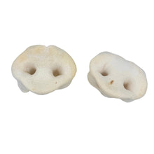 Load image into Gallery viewer, Two beige Puffed Pig Snouts on a white background