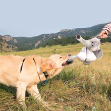 Load image into Gallery viewer, KONG Stretchezz Legz Bear