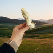 Load image into Gallery viewer, Hand holding a white object against a scenic landscape with rolling hills and a clear sky.