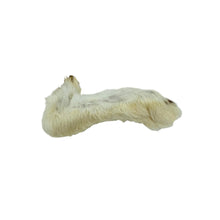 Load image into Gallery viewer, White sock on a white background