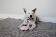 Load image into Gallery viewer, KONG Snuzzles Kiddos Bunny Small