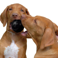 Load image into Gallery viewer, KONG Extreme Ball Medium/Large