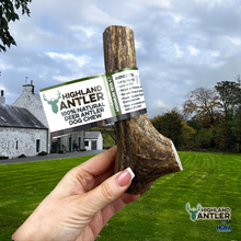 Load image into Gallery viewer, Antos Nova Highland Antler Large