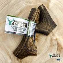 Load image into Gallery viewer, Antos Nova Highland Antler Large
