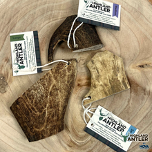 Load image into Gallery viewer, Antos Nova Highland Fallow Antler Large