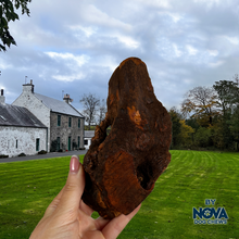 Load image into Gallery viewer, Antos Origins Root Wood Chew Small