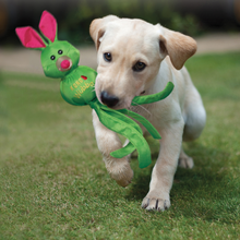 Load image into Gallery viewer, Dog running on grass with a green toy in its mouth