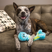 Load image into Gallery viewer, KONG Wubba Octopus Assorted Small