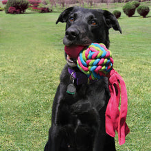 Load image into Gallery viewer, KONG Wubba Weaves Large
