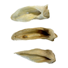 Load image into Gallery viewer, Three White Lamb Ears on a white background