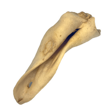 Load image into Gallery viewer, A single goat ear, which is to be used as a dog treat.