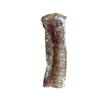 Load image into Gallery viewer, three
Beef Trachea Moo Tube Pieces 12cm