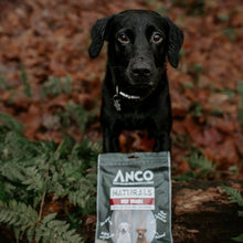 Load image into Gallery viewer, Black dog holding a bag of ANCO Naturals dog food in a forest setting