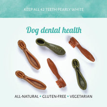 Load image into Gallery viewer, Antos Cerea Mixed Brush Pack – 58 pieces (7cm)