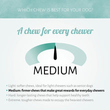 Load image into Gallery viewer, Antos Cerea Mixed Brush Pack – 58 pieces (7cm)