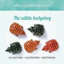 Load image into Gallery viewer, Antos Cerea Hedgehog Small 8cm - Single