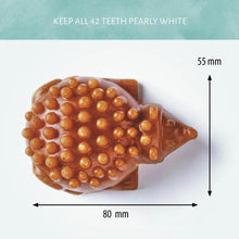 Load image into Gallery viewer, Antos Cerea Hedgehog Small 8cm - Single