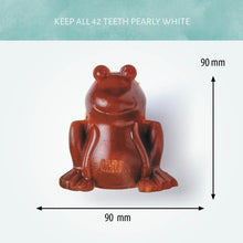 Load image into Gallery viewer, Antos Cerea Frog Large 130g - Single