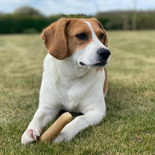 Load image into Gallery viewer, K2 Yak Chews Turmeric Small