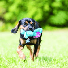 Load image into Gallery viewer, dog-carry-kong-king-lion-blue-dog-toy