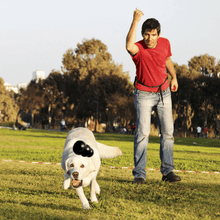 Load image into Gallery viewer, dog-chasing-after-kong-toy