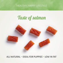 Load image into Gallery viewer, Antos Fish D’Light Salmon Bites 100g