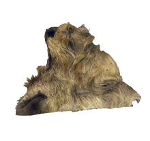 Load image into Gallery viewer, Hairy Beef Bark Skin