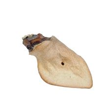 Load image into Gallery viewer, Brown honey cow ear with a central hole on a light gray background