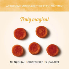 Load image into Gallery viewer, Nova Dog Christmas Cracker