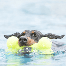 Load image into Gallery viewer, kong- airdog-bone-medium-dog-toy-yellow-2