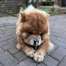 Load image into Gallery viewer, Deer Bladder Twist