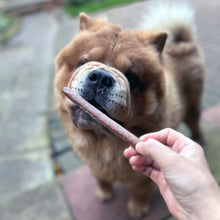 Load image into Gallery viewer, Dog holding a treat in its mouth with a blurred background