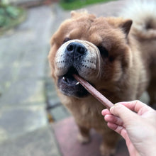 Load image into Gallery viewer, Dog holding a treat in its mouth with a blurred background