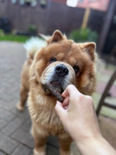 Load image into Gallery viewer, 15 Gourmet Liver Sausages