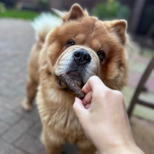 Load image into Gallery viewer, Dog receiving a treat from a person's hand outdoors