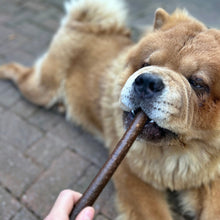 Load image into Gallery viewer, Dog chewing on a treat held by a person on a brick pavement