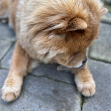 Load image into Gallery viewer, 100% Natural Turkey Meaty Strip