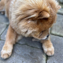 Load image into Gallery viewer, 100% Natural Boar Meaty Strip