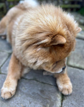 Load image into Gallery viewer, 100% Natural Chicken Meaty Strip