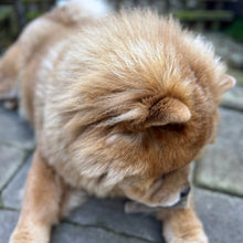 Load image into Gallery viewer, 100% Natural Chicken Meaty Strip