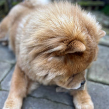 Load image into Gallery viewer, 100% Natural Rabbit Meaty Strip