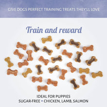 Load image into Gallery viewer, Nova Antos Mixed Mini Bones