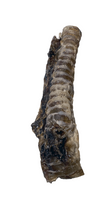 Load image into Gallery viewer, A natural beef trachea dog treat, also known as a moo tube, against a white background.