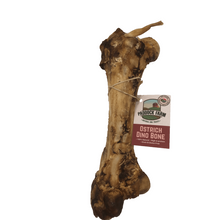 Load image into Gallery viewer, Antos Nova Paddock Farm Ostrich Dino Bone