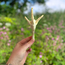 Load image into Gallery viewer, Nova Paddock Farm Puffed Chicken Feet 1kg